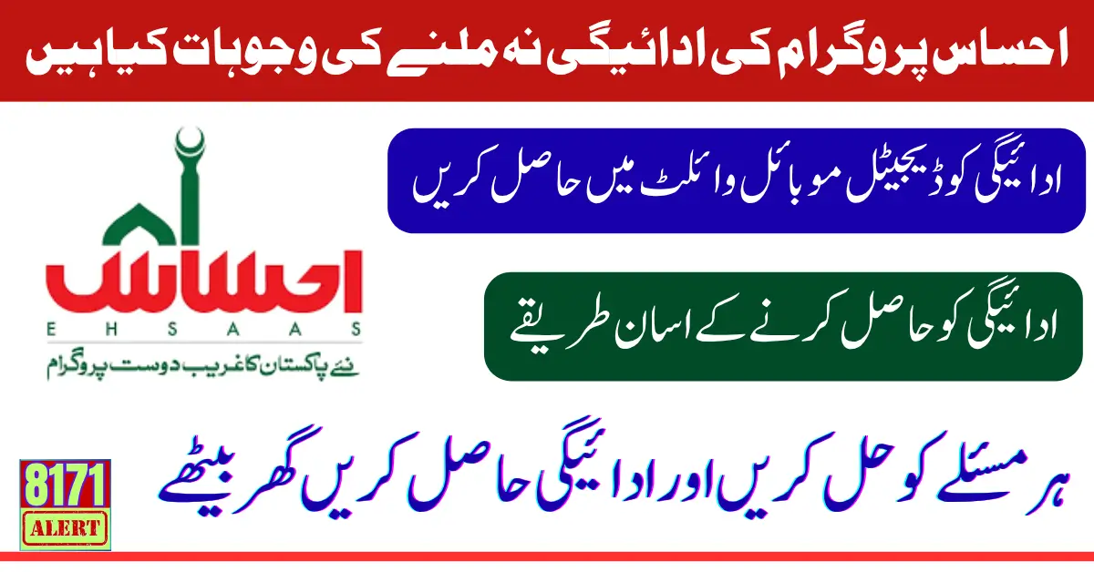 Ehsaas Payment Issue Solution 2025 August Update Know Full Guide Step By Step
