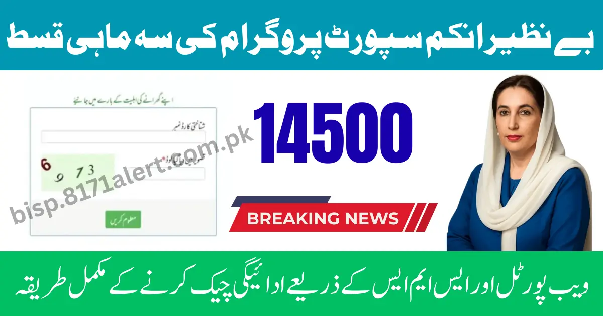 8171 SMS Service CNIC Check 2026 – Complete Eligibility & Payment Status