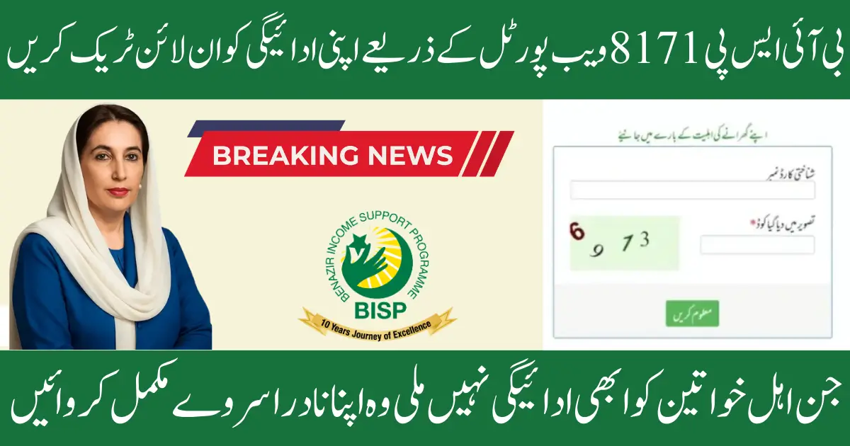 8171 Web Portal 2026 – Complete Guide to Check CNIC & Payment Status Online